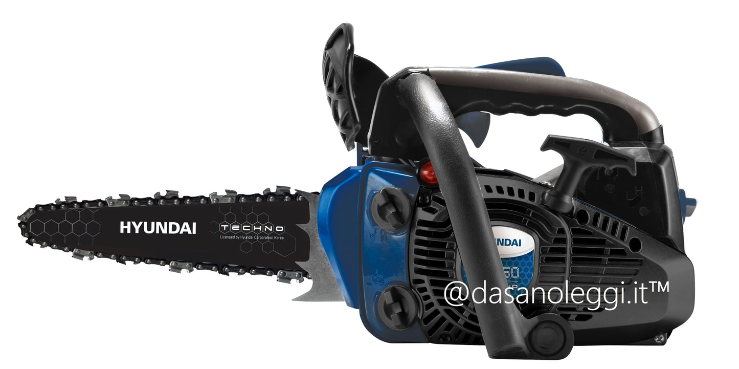 HYUNDAI MOTOSEGA CARVING STORM 25 CC